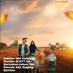 Newsletter Humanation 7
