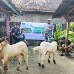 Harga Kambing Kurban 2026 di ASAR Humanity, Mulai Rp2 Jutaan