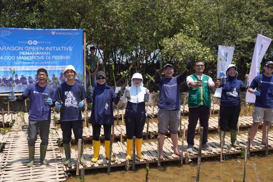 Paragon Corp dan Asar Humanity Tanam 4.000 Mangrove untuk Jaga Ekosistem Pesisir Tangerang